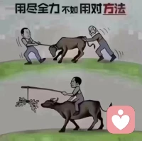 凡事要為做到去想辦法，不要為做不到去找理由。
                   ——沈健師說配圖