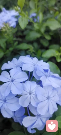 問題不是問題，怎樣看待問題才是問題.
心理學可以解決任何問題，是想解決到哪個程度的問題.
是揚湯止沸還是釜底抽薪？配圖