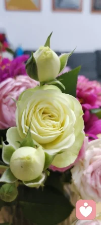 問題不是問題，怎樣看待問題才是問題.
心理學可以解決任何問題，是想解決到哪個程度的問題.
是揚湯止沸還是釜底抽薪？配圖