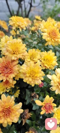 不急不躁過好生活.忙碌中一定記得好好關照最親密的自己.她一直都在不離不棄的跟隨者你.愛自己不留余力.么么噠??配圖