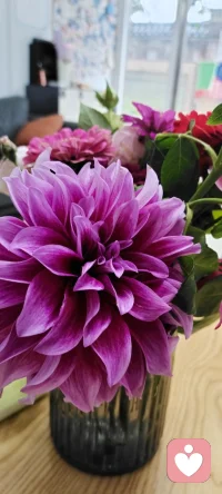 每天在心田里種下花海.閉上眼睛都是姹紫嫣紅.怒放的花花.（心理學與幸福）配圖