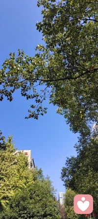 成功是新的開始，失敗也是新的開始，新的一天新的開始，早安！配圖