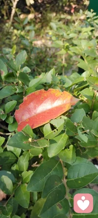 人生的智慧：自我覺察，我是誰，我憑什么都想要，別人憑什么聽你的，你以為的只是你以為的.遇到選擇困難，來個擇優選擇“可一頭”吧.配圖