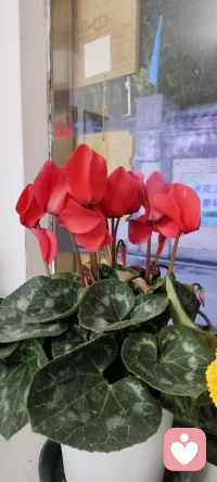 既然每個人的開始和結束都是一樣的 ，那不妨好好享受這個經歷吧！（心理學與幸福同在）配圖