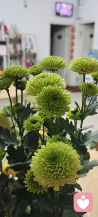 既然每個人的開始和結束都是一樣的 ，那不妨好好享受這個經歷吧！（心理學與幸福同在）配圖