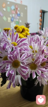 既然每個人的開始和結束都是一樣的 ，那不妨好好享受這個經歷吧！（心理學與幸福同在）配圖