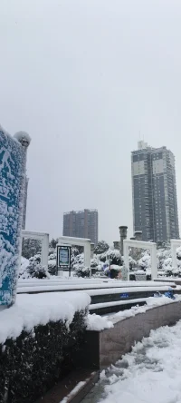 2024年的第一場雪.瑞雪兆豐年！配圖