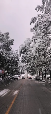 2024年的第一場雪.瑞雪兆豐年！配圖