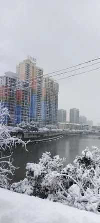 2024年的第一場雪.瑞雪兆豐年！配圖