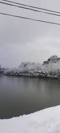 2024年的第一場雪.瑞雪兆豐年！配圖