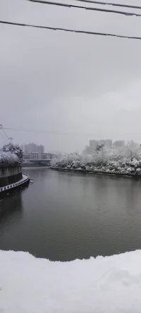 2024年的第一場雪.瑞雪兆豐年！配圖