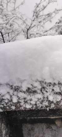 2024年的第一場雪.瑞雪兆豐年！配圖