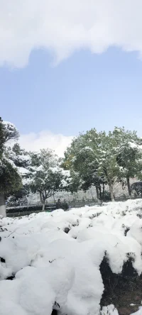 純凈的美：陽光印襯下的雪景熠熠生輝.配圖