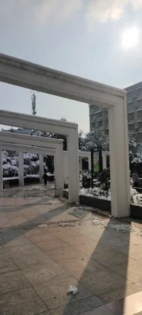 純凈的美：陽光印襯下的雪景熠熠生輝.配圖