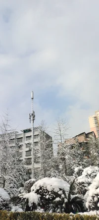純凈的美：陽光印襯下的雪景熠熠生輝.配圖