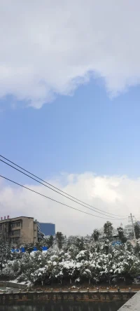 純凈的美：陽光印襯下的雪景熠熠生輝.配圖