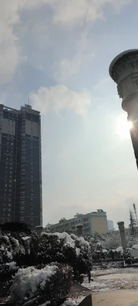 純凈的美：陽光印襯下的雪景熠熠生輝.配圖