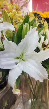世界上最美好的事是让自己变得更美好~遇见花开，分享出来，植入心田，共享美好.