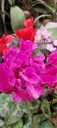 世界上最美好的事是让自己变得更美好~遇见花开，分享出来，植入心田，共享美好.
