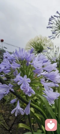 每個生命都有屬于他的光輝時刻，記錄下來賦予力量~你的光輝時刻是什么時候呢？配圖