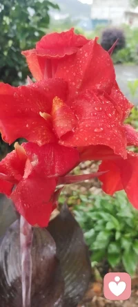 每個生命都有屬于他的光輝時刻，記錄下來賦予力量~你的光輝時刻是什么時候呢？配圖