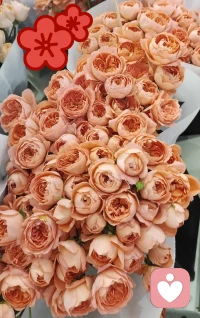 [太阳][太阳][太阳]花儿与幸福的故事：手里抱着一束花的中年美少女在超市回家路上，路上的熟人纷纷打招呼，“谁给你送的花🌺”“或者“你给谁送花💐”.哈哈哈，都什么年代了，这是什么心态呀~一定要有人送花或者送花给人，不能自己给自己买束花吗？