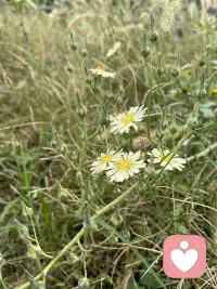 耐心傾聽用心陪伴你，可以聯絡我呢！配圖