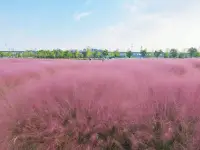 我們遇到的問題
本身不是問題
?
?我們解決問題的智慧和狀態
?才是問題配圖
