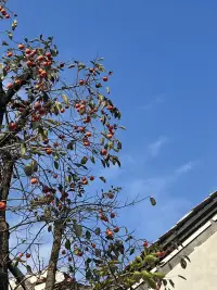 沒有遇到挫折，永遠不會懂得自己的力量有多大，挫折和困難是讓人變得強大的動力！配圖
