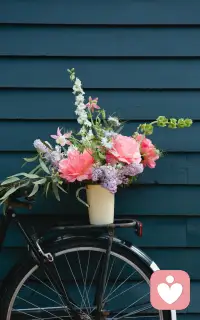 兩個人在一起，唯一的意義就是相互幫助提升。這個世界本沒有誰比你更高，也沒有誰比你更低。配圖