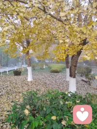 如果說失去無可回避，那么關于它有什么好處，我想到有三點：
1、讓我們明白生命的短暫和無常，因為可能失去，擁有的才會更珍惜。
2、讓我們接受會遇到的所有的事，因為可能失去，擁有的才會更踏實。
3、讓我們痛到無痛，我們都在失去中，剝落自己最容易受傷的部分，勇敢堅強地成長，也看到自己的珍貴。配圖