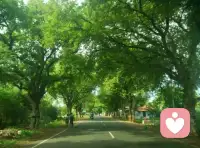 每個人都對于另一個自己懷有兩種復雜態度：很期待，也深懷憂懼。配圖