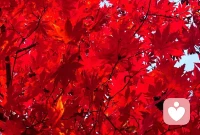 當你能在日常熟悉的環境中發現未曾注意的點滴時，你便將有機會轉化出新的靈感和視角。配圖