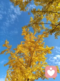 愛你的人，會陪你一起，面對你的優點，面對你的不足。配圖