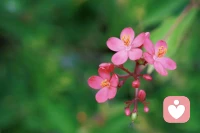 如果你深陷在親情關(guān)系的痛苦中，那是因?yàn)槌四阌凶约旱臒溃易逯羞€有大量的歷史負(fù)債需要消化。配圖