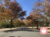 解脫煩惱并不是抹殺掉自我的存在，而是消融過分凸顯的那一部分我執。配圖