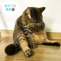 生命中最值得榮耀的，不是沒有失敗，而是每次失敗后都能勇敢的站起來。——曼德拉配圖