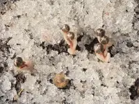 有的人一輩子都在抗拒和逃離中，不知抗拒和逃離的東西本來是幻，卻在不知不覺中，把抗拒和逃離培養成了痛苦本身。配圖
