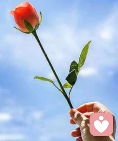 宁静❣️
