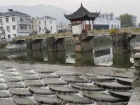 哪有什么歲月靜好，不過是在困境中前行，在挫折中堅(jiān)持，直到遇見成功。這告訴我們，成功并非一帆風(fēng)順，它需要我們付出努力，付出汗水，甚至在困境中掙扎，在挫折中堅(jiān)守。