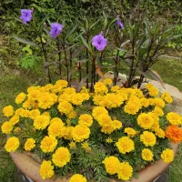 時(shí)間在變，人也在變。背不動(dòng)的，要放下；傷不起的，要看淡；想不通的，可以不想；恨不過的，要撫平。人生，就是一個(gè)修煉的過程，何必用這一顆不平的心看待人和事，作踐了自己，辜負(fù)了歲月。