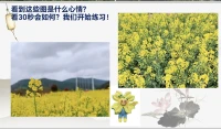 亲爱的朋友们
美好的一天从早安的一声问候开启💖
我是静心慧听

心中充满正能量
每天都是小太阳
加油