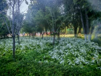 管住嘴，迈开腿
新的一周
加油