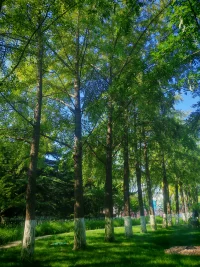 💖与生活讲和，带着问题去生活也是一种人生智慧
而非只有解决模式
共勉