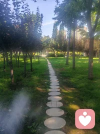 想到就去做
做就是了

今天閱兵，記得準時收看奧??
新的一天，新的開始配圖