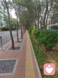 那些打不倒你的，必將使你更強大??
新的一天，加油
運動，學習，傾聽陪伴，成長 
能量滿滿開啟每一天配圖