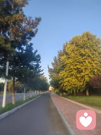 催眠的本質就是自我催眠。
你有多難受也可以有多好受，因為能力是一樣的，
轉過身來看陽面，多看到生活中的小確幸，小美好，內化積極體驗。
如果結果是幸運的，就在幸運里待著。
新的一天，積極擁抱陽光和美好。配圖