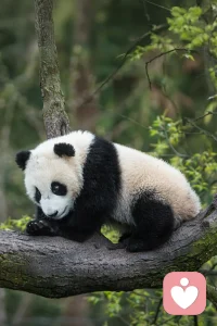 ??遇事多澄清，你到底想要的是什么？
澄清之后就云淡風輕。

??當擁有的時候還覺得不滿意，那就問問自己失去了會怎樣。

??靜心慧聽祝您諸事順意??配圖