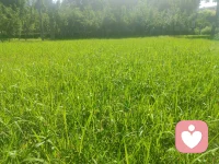 沒心沒肺，活著不累
復(fù)雜問題簡單化，簡單地做事，快樂地生活
新的一周
加油配圖