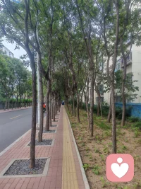 成功無非就是站起來的次數比倒下去多一次 
做對的事?堅持不懈去做

??十年做一件事想不成功都難
    那如果堅持二十年，三十年會怎樣呢
    持續走在成長路上
     ………
    加油配圖